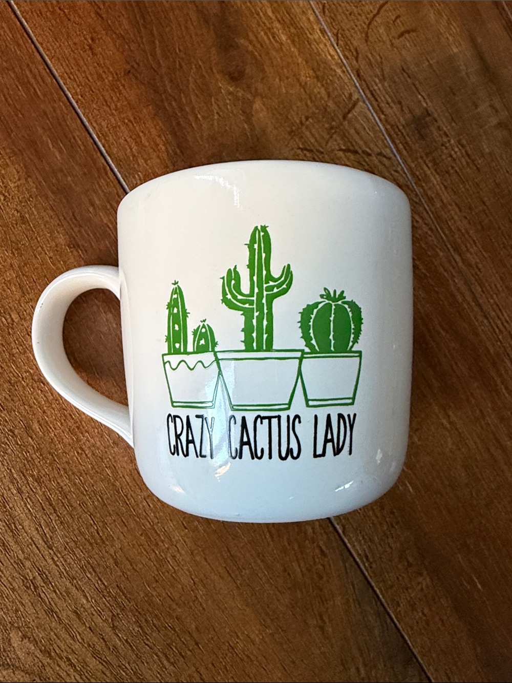 Urban Outfitters White 'Crazy Cactus Lady' Ceramic Mug with Green Cactus Graphic